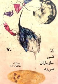 کسی ساز باران نمی زد