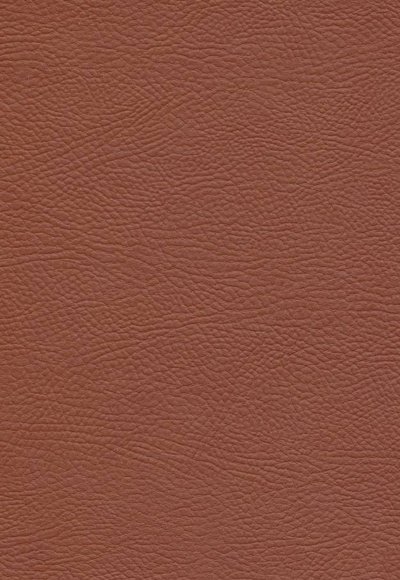 کوری