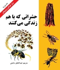 حشراتی که با هم زندگی می کنند