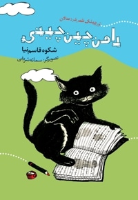 دامن چین چینی