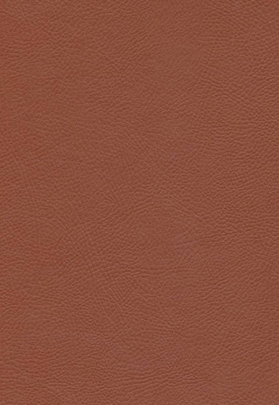 عشق هرگز نمی میرد