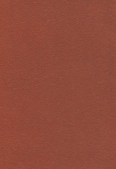 جاناتان مرغ دریایی