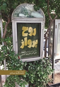 روح پرواز