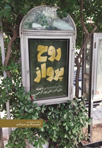 روح پرواز