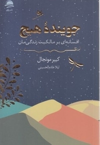 جوینده هیچ