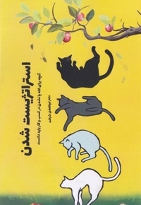 استراتژیست شدن