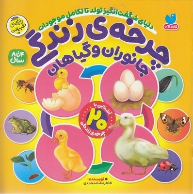 چرخه ی زندگی-جانوران و گیاهان-4 تا 8 سال