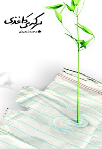 برکه کاغذی