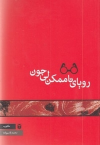 رویای ناممکن لی جون