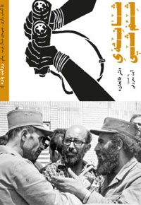 شانه ی شم شی