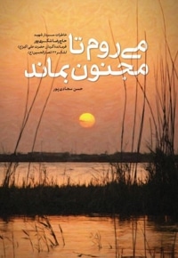 می روم تا مجنون بماند