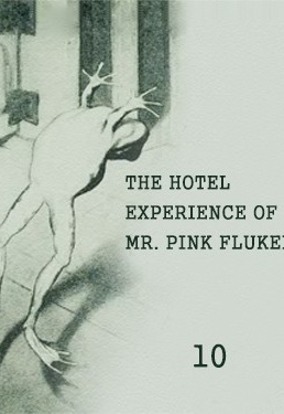 The Hotel Experience Of Mr.Pink Fluker - ناشر: gutenberg.org - استودیو: librivox.org