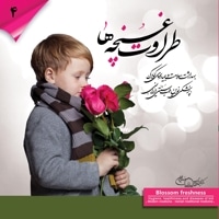 طراوت غنچه ها