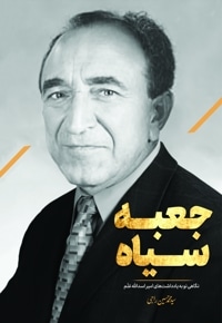 جعبه سیاه