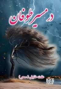 در مسیر طوفان