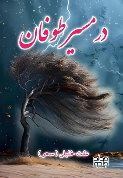 در مسیر طوفان