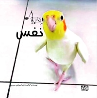 نفس