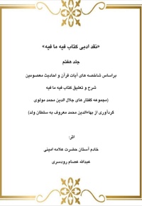 نقد ادبی بر کتاب فیه ما فیه جلد هفتم