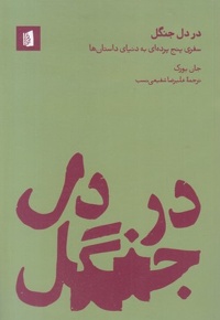 در دل جنگل