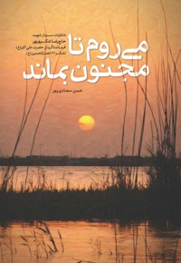 می روم تا مجنون بماند