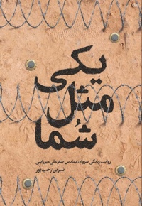 یکی مثل شما