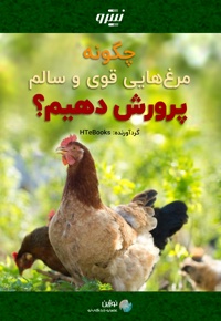 چگونه مرغ هایی قوی و سالم پرورش دهیم؟