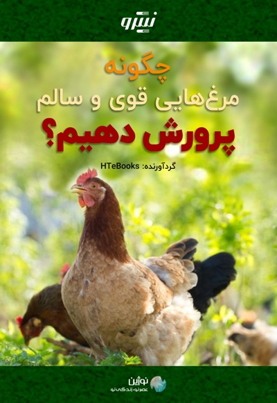 چگونه مرغ هایی قوی و سالم پرورش دهیم؟