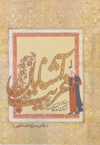 آشنایان غریب