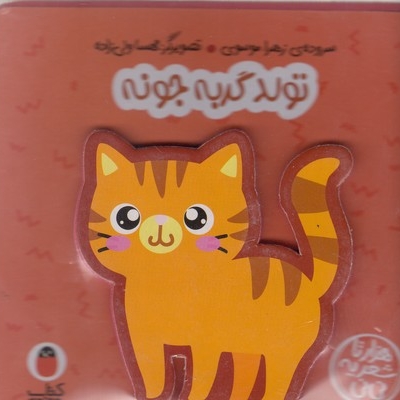 هزارتا شعر یه نی نی-تولد گربه جونه