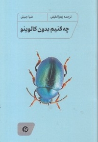 چه کنیم بدون کالوینو