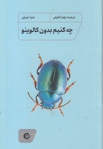 چه کنیم بدون کالوینو