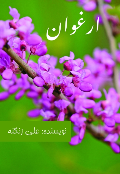 ارغوان