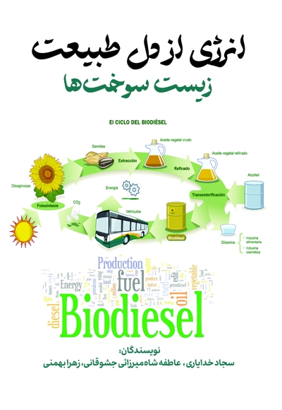 انرژی از دل طبیعت (زیست سوخت ها)