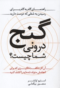 گنج درونی شما چیست؟- راهنمای گام به گام برای رسیدن به شغلی که دوست دارید