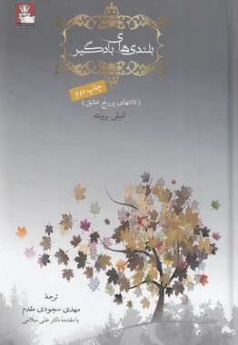 بلندیهای بادگیر