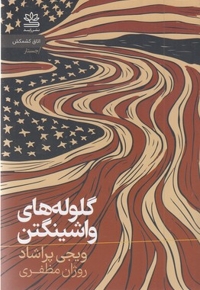 گلوله های واشینگتن