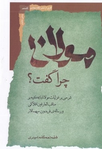 مولانا چرا گفت