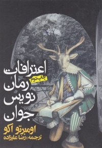 اعتراف یک رمان نویس جوان