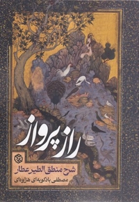 راز پرواز