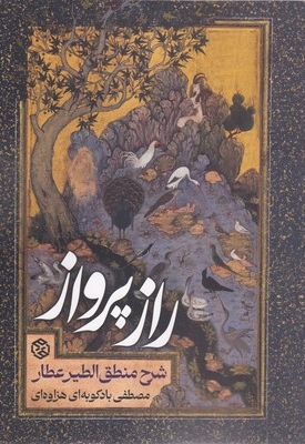 راز پرواز