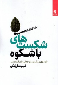 شکست های با شکوه