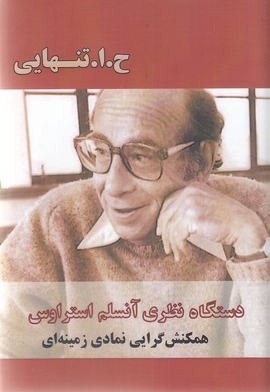 دستگاه نظری آنسلم استراوس