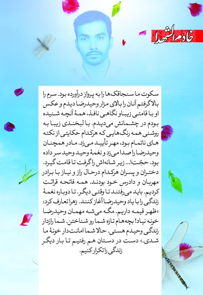 روایت سنجاقک ها