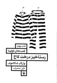 رستاخیز درخت کاج - قصه های کولیما 4