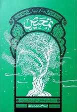 تمحیص / پیدای پنهان : سنت ابتلا و خالص سازی در قرآن و روایات