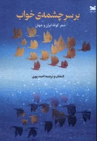 بر سر چشمه ی خواب