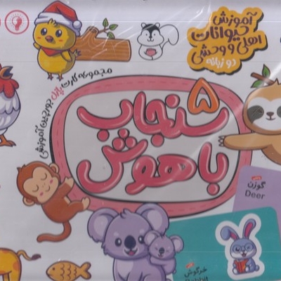 سنجاب باهوش 5-آموزش حیوانات اهلی ووحشی