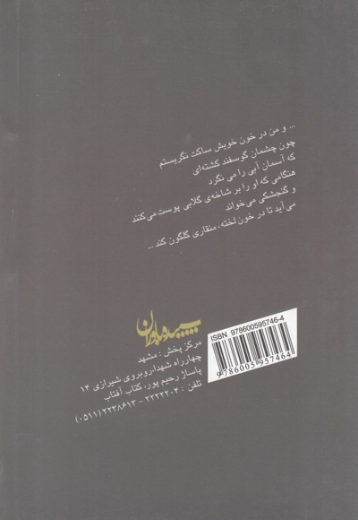 شاعری به این تنهایی - (گزیده اشعار محمدباقر کلاهی اهری)