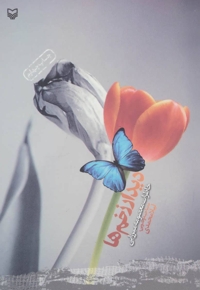 دیدار زخم ها - (خاطرات معصومه میرزایی)