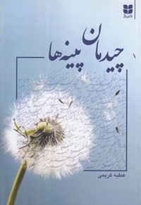 چیدمان پینه ها